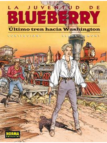 BLUEBERRY 41 ULTIMO TREN HACIA WASHINT 1