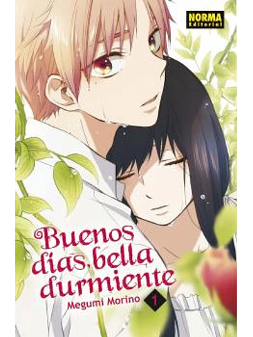 BUENOS DIAS BELLA DURMIENTE 01 1