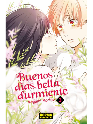 BUENOS DIAS BELLA DURMIENTE 03 1