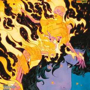 ABSOLUTE WONDER WOMAN N.20