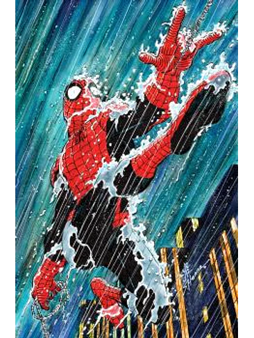 EL ASOMBROSO SPIDERMAN 14 (PORTADA ALTERNATIVA JOHN ROMITA JR) 1