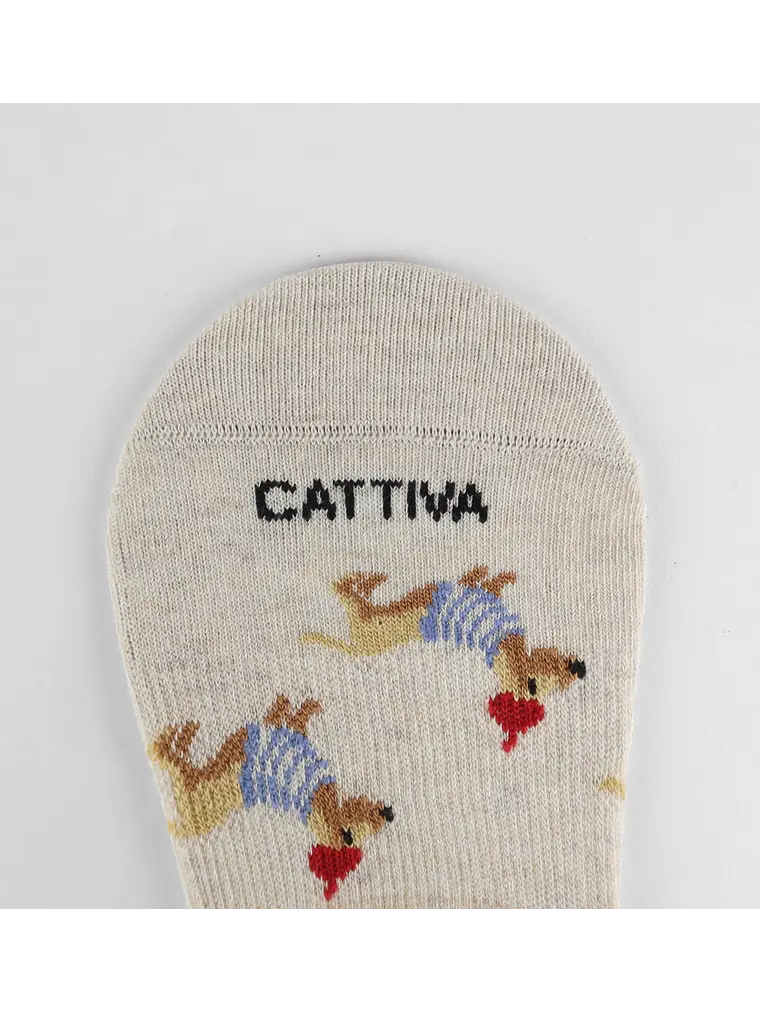 Premium MEDIA INVISIBLE - PERRITO BEIGE2 2