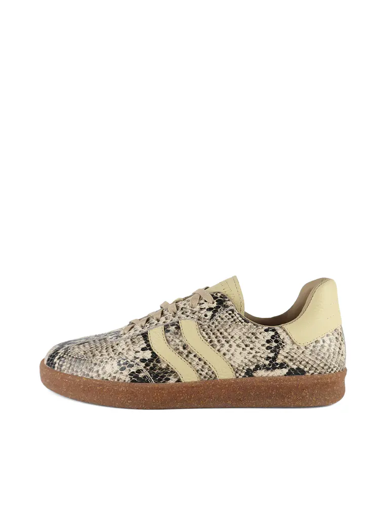 ZAPATILLA TAYLOR - PITÓN Luxe 1