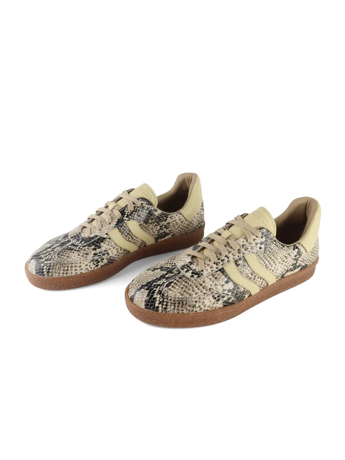 ZAPATILLA TAYLOR - PITÓN Luxe 2
