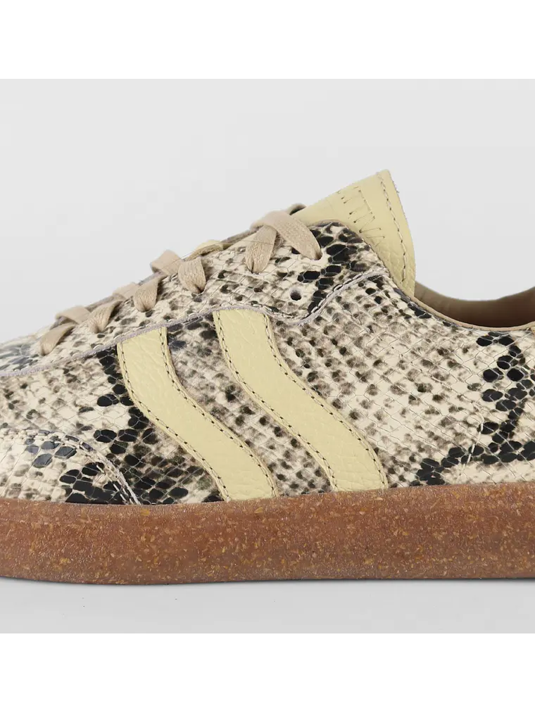 ZAPATILLA TAYLOR - PITÓN Luxe 3