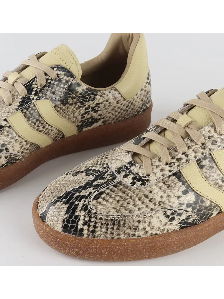 ZAPATILLA TAYLOR - PITÓN Luxe 4