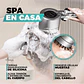 Cabezal de ducha de alta presión 4 en 1 con masajeador - Miniatura 2