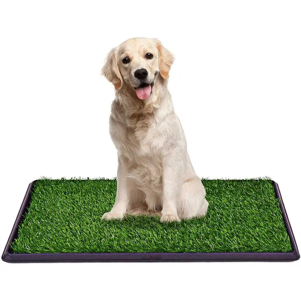 Baño Portátil Con Cesped Para Perros 4