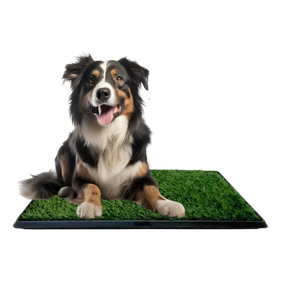 Baño Portátil Con Cesped Para Perros 5