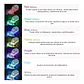 MASCARA LED, CON CUELLO ANTIARRUGAS, ACNE, LINEAS DE EXPRESION,MANCHAS, 7 COLORES - Miniatura 4