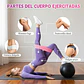 Bandas de Elasticas para piernas y glúteos, tela antideslizante, 3 niveles - Miniatura 4