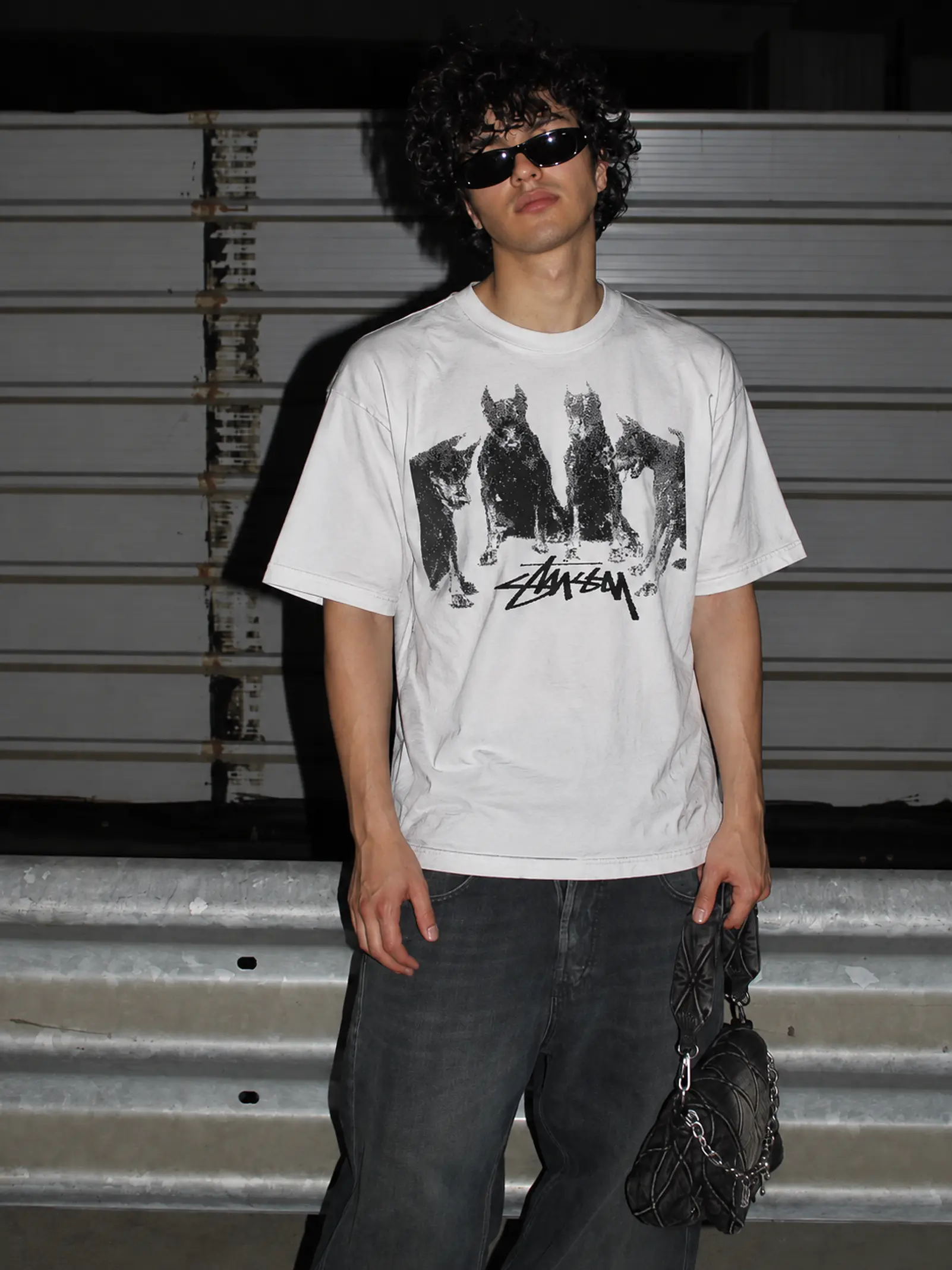 Stussy Dobermans 2