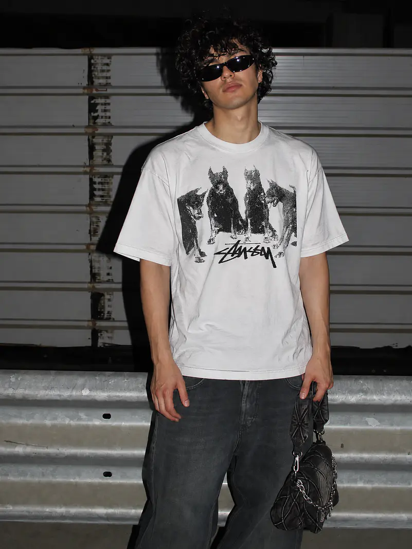 Stussy Dobermans 2