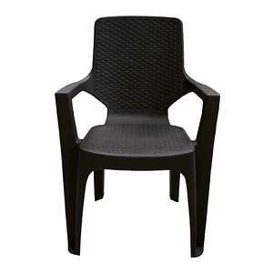 Silla Reggina con brazos/ Colplast