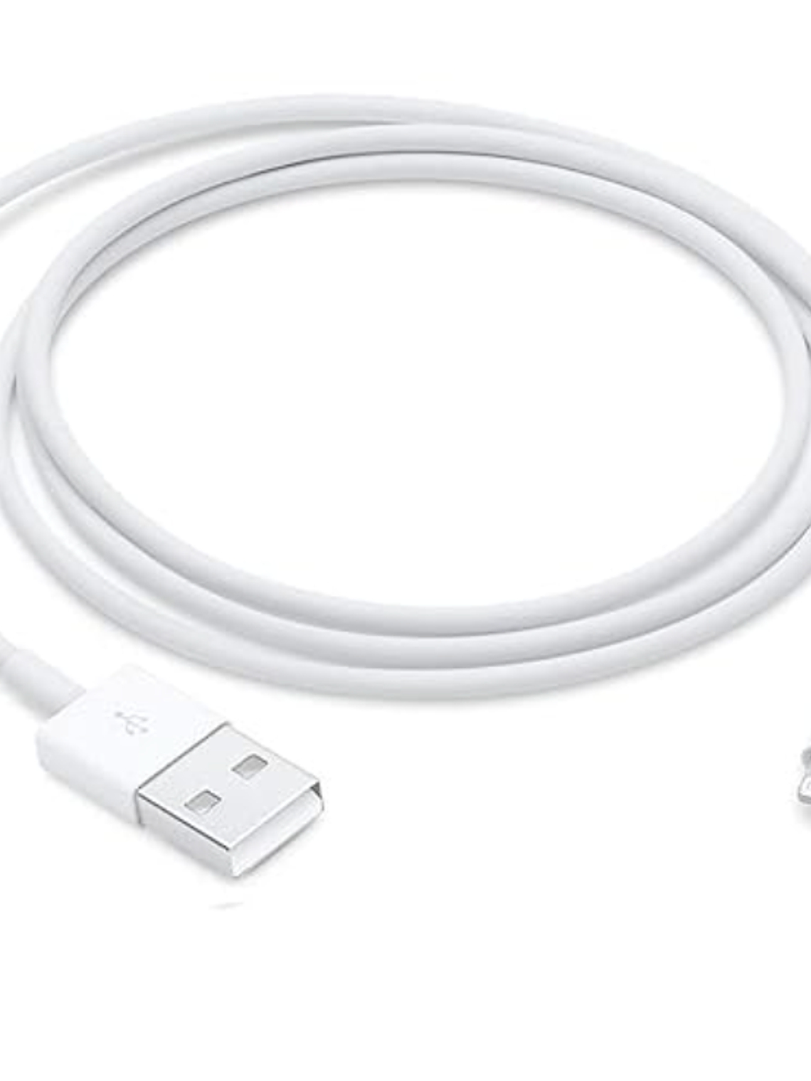 Cable Apple USB A LIGHTNING 1MT Original 1