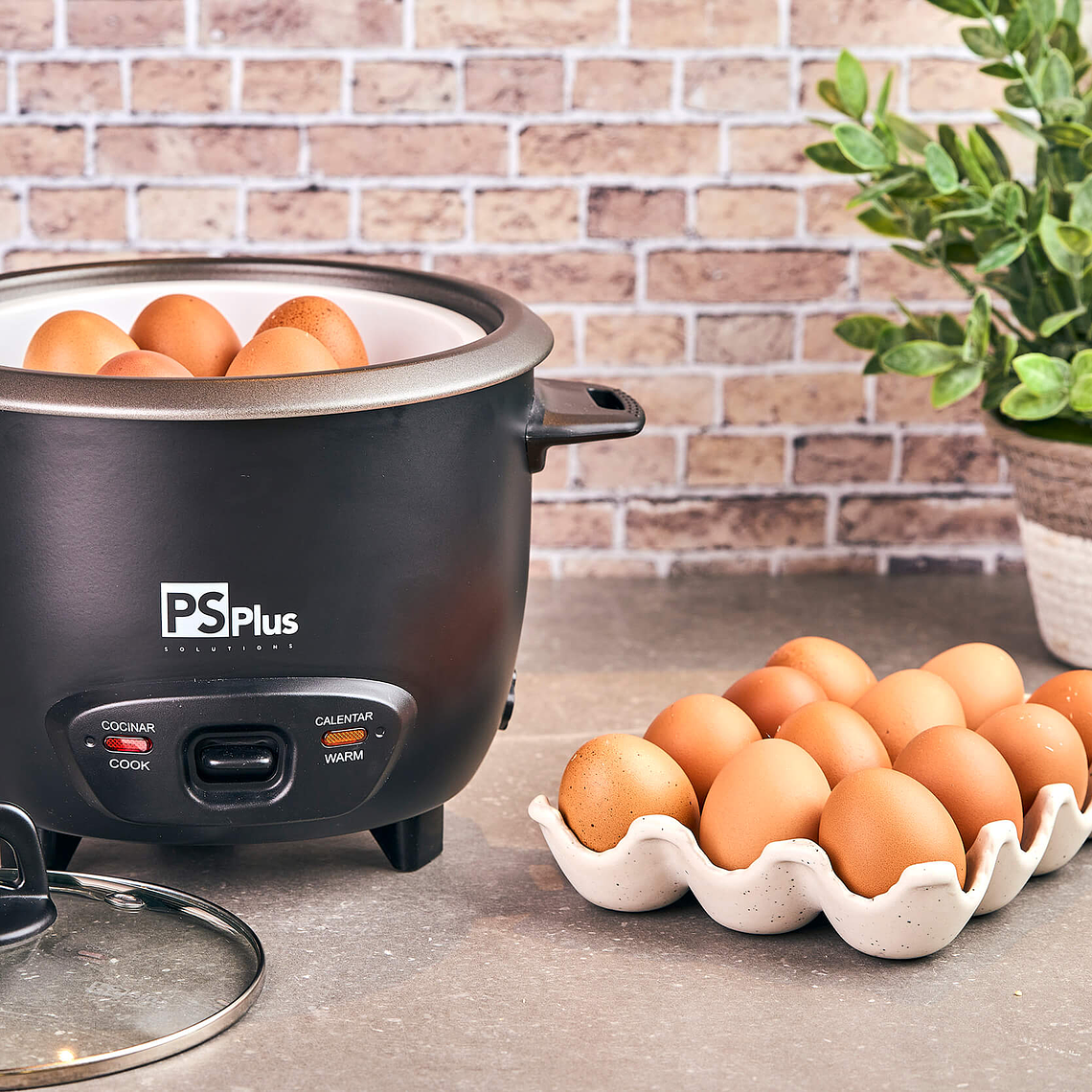 Arrocera 5 tazas con Vaporera  / PS Plus 2