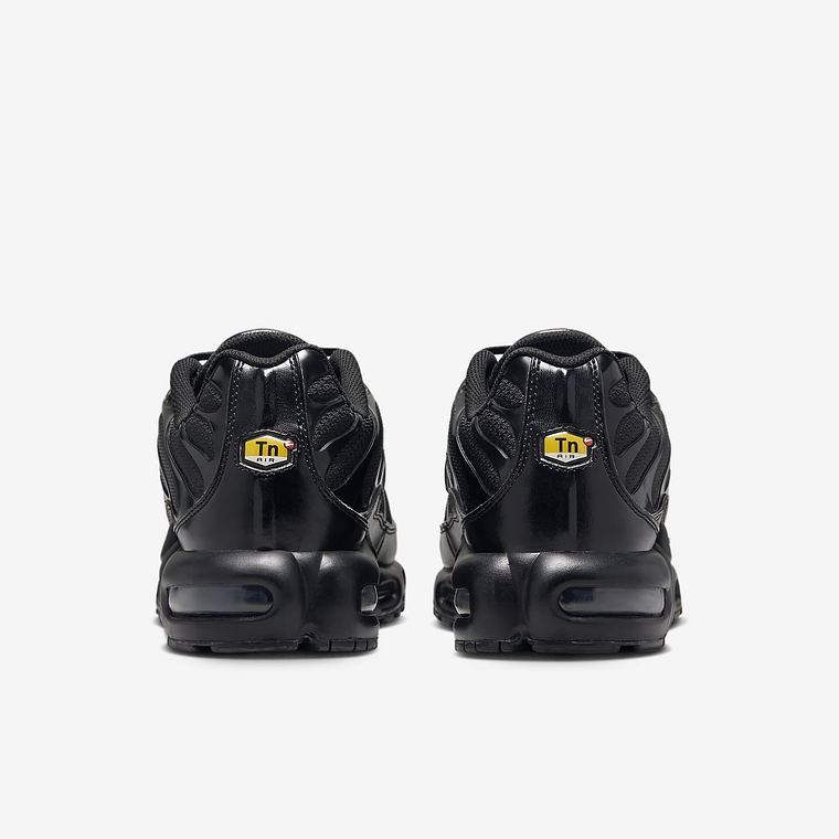 Nike Air Max Plus 6