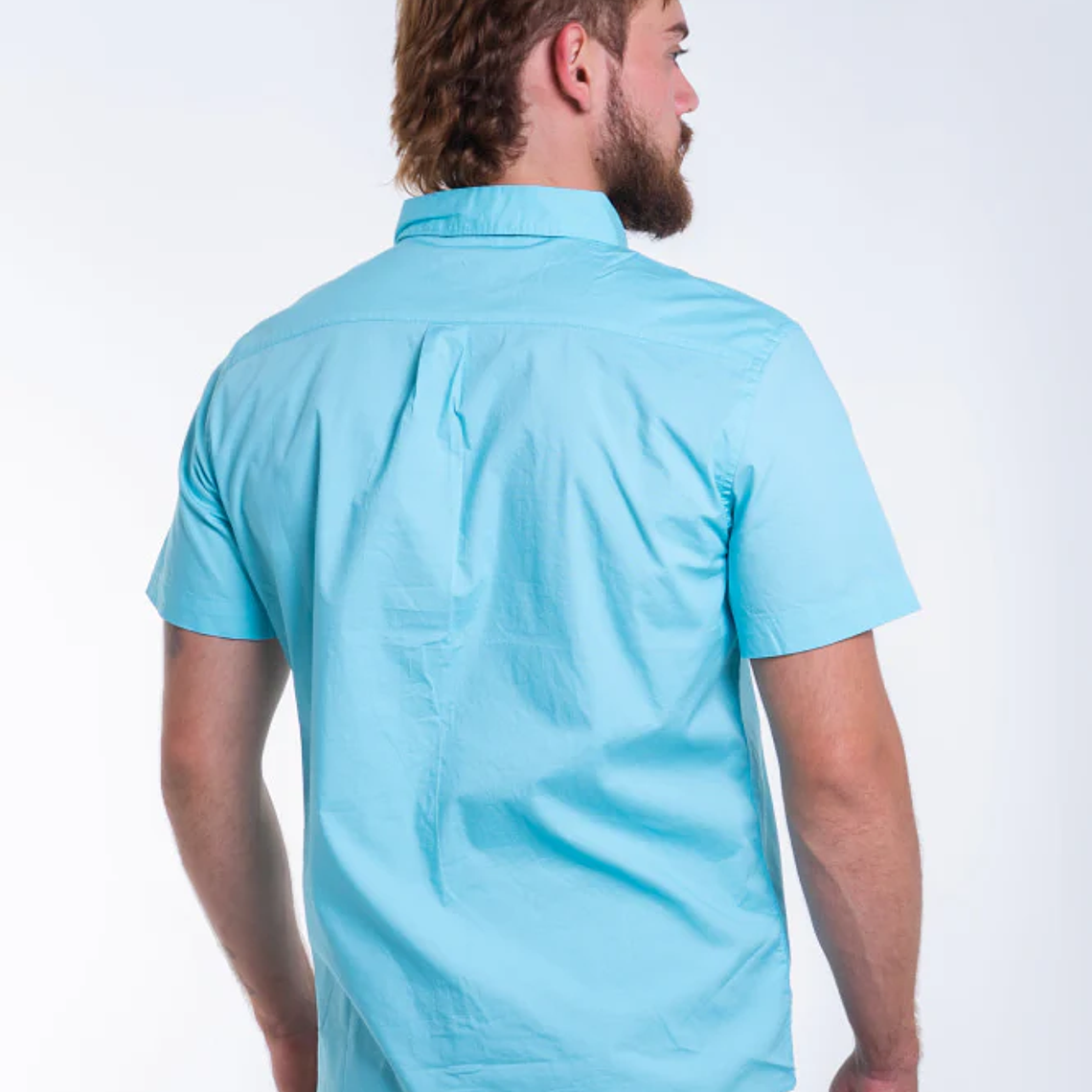 Camisa Hombre Manga Corta Penguin 7