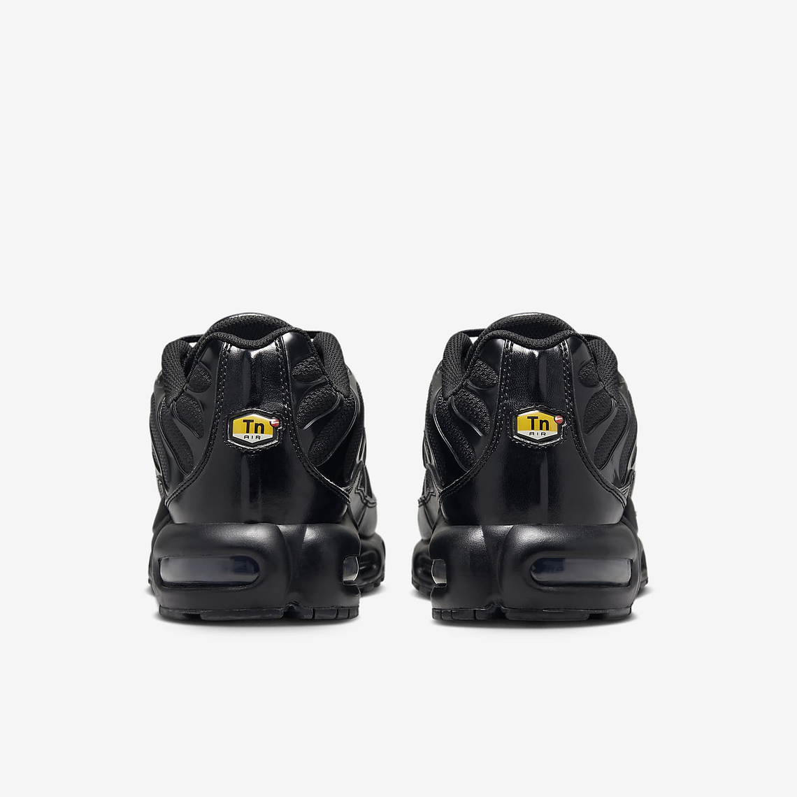 Nike Air Max Plus 6