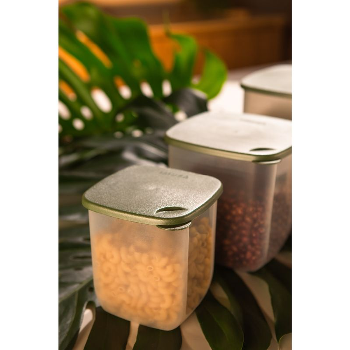 Juego de Recipientes Herméticos IMUSA TERRA Cuadrados 4L, 2L, 1L Verde 4