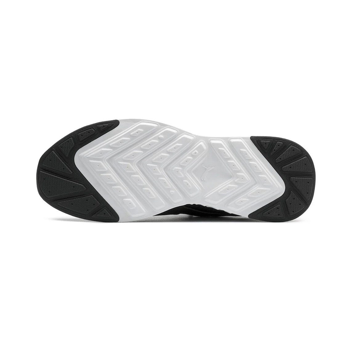 Tenis Puma de automovilismo BMW M Motorsport Tiburion 4