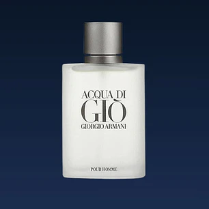 Giorgio Armani Acqua Di Giò Eau de Toilette (100 ml)