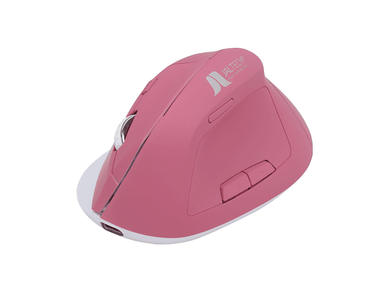 Mouse Vertical DUAL BT+2.4 TIPO C 1