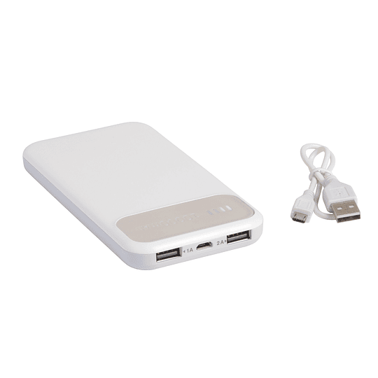 Powerbank “Silicon Valley”