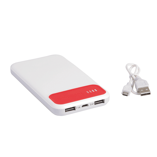 Powerbank “Silicon Valley”