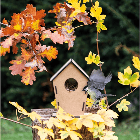 Casa para pássaros 