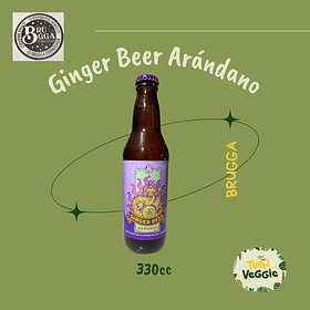 Ginger Beer Arándano 330cc