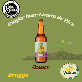 Ginger Limón De Pica 330cc