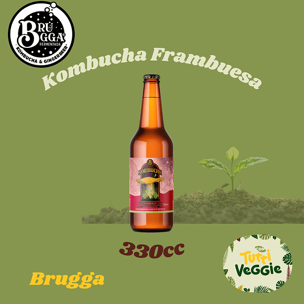 Kombucha Frambuesa 330cc