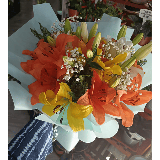 Flores & Ramos Prográmalo!   8