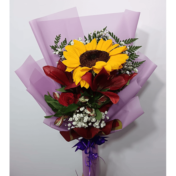 Flores & Ramos Prográmalo!   18