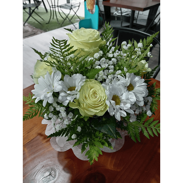 Flores & Ramos Prográmalo!   20