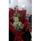 Flores & Ramos Prográmalo!   24