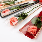 Flores & Ramos Prográmalo!   26