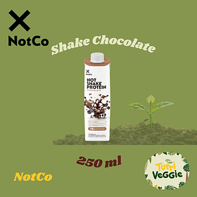 Shake Chocolate 250 ml