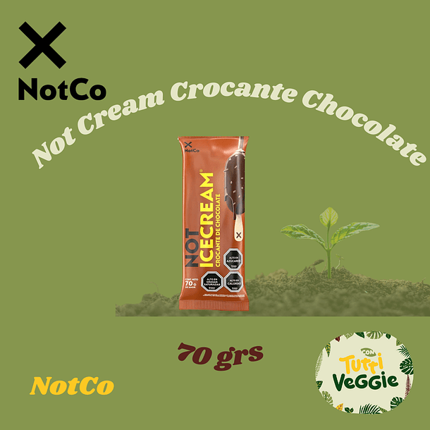 Not Ice Cream Crocante Chocolate 70 grs
