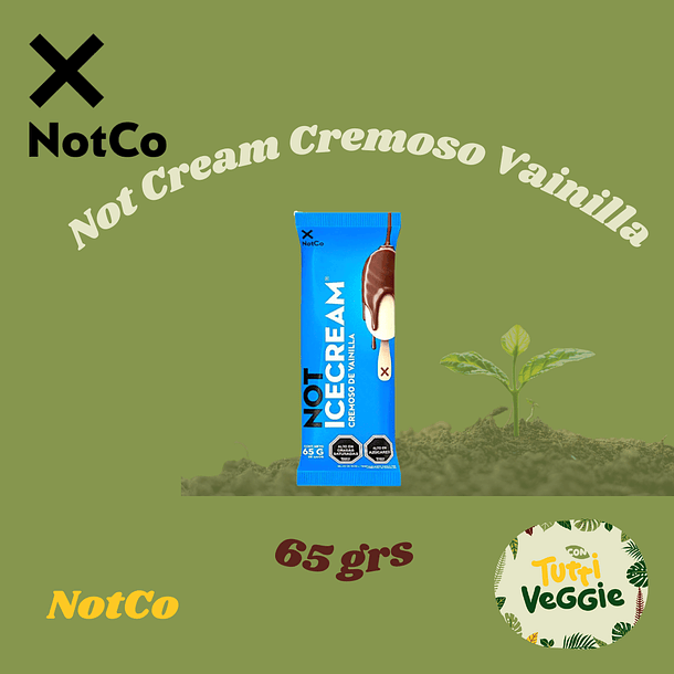 Helado Vegetal Not ice cream Vainilla 65 grs