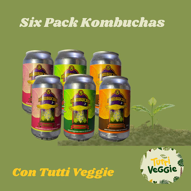 Six Pack Kombucha Brugga 
