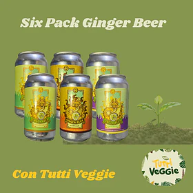 Six Pack Ginger Beer Brugga