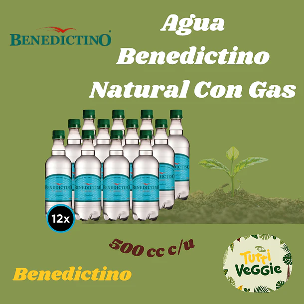 12x Agua Benedictino Con Gas 500cc