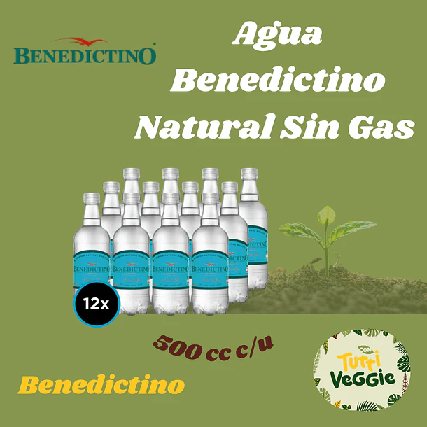 12x Agua Benedictino Natural Sin Gas 500cc