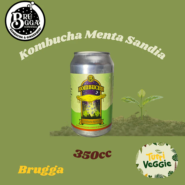 Kombucha Manzana Canela 350cc