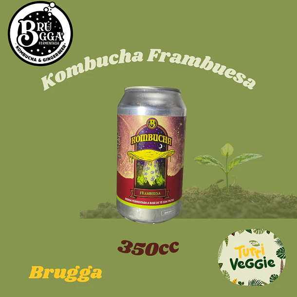Kombucha Frambuesa 355cc