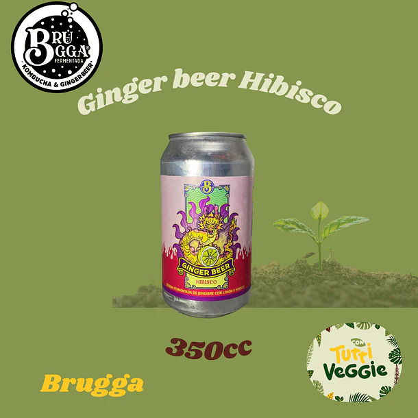 Ginger Beer Hibisco 350cc