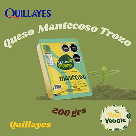 Queso Vegano Mantecoso Quillayes Trozo 200 g
