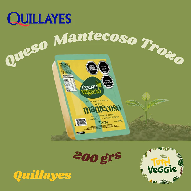 Queso Vegano Mantecoso Quillayes Trozo 200 g